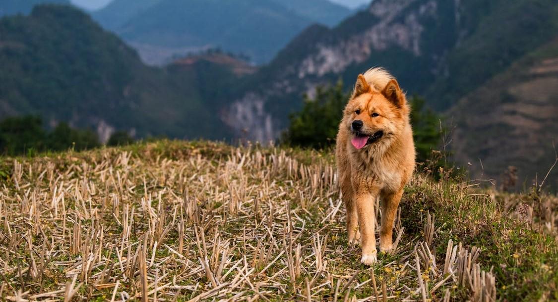 If you do what you always did, you will get what you always got.