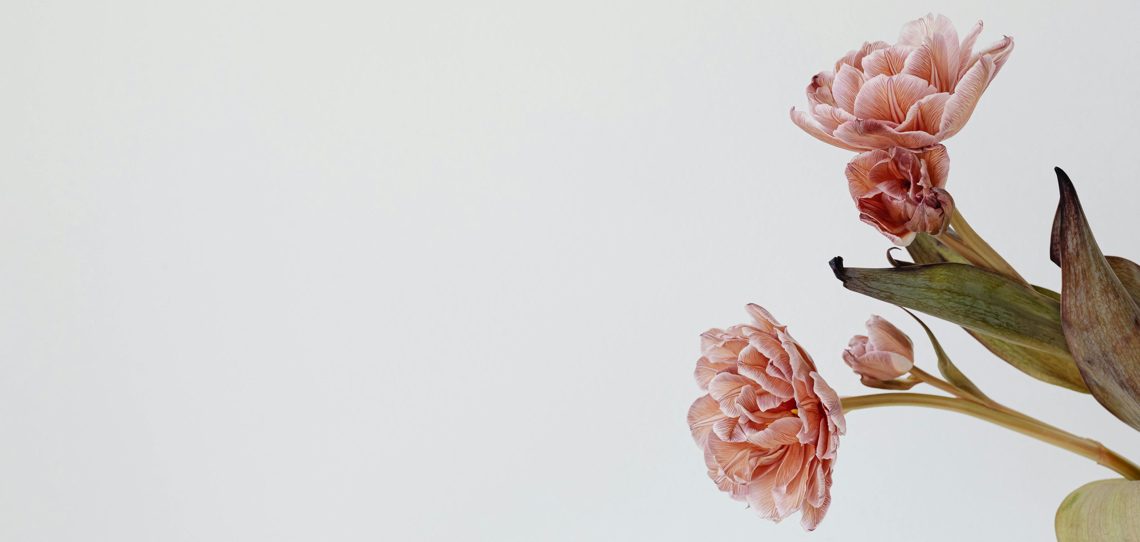 All Our Globals Can come true, if we have the courage to pursue them